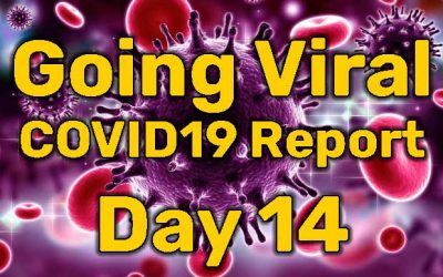 Going Viral – COVID19 Report – Day 14